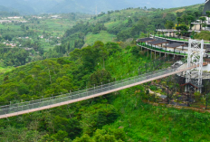 Pesona Pariwisata Kabupaten Cianjur Dari Keajaiban Alam Hingga Wahana Modern Paling Edukatif