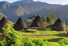 Menjelajah Keindahan Desa Adat Wae Rebo Flores di Hunian Kerucut Legendaris Warisan UNESCO
