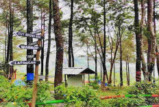 5 Destinasi Liburan Seru di Trawas Mojokerto, Cocok untuk Para Pecinta Alam Menghabiskan Waktu