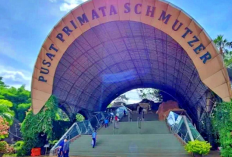 Destinasi Liburan Keluarga di Pulau Jawa Paling Menginspirasi dan Edukatif, Simak Referensi Lengkapnya Berikut