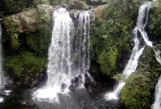 Rekomendasi Destinasi Air Terjun Paling Menarik di Sekitar Purwokerto