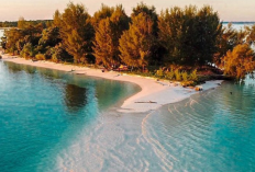 Pantai Daloha Maluku Utara jadi Surga Bahari di Morotai, Keindahan Bawah Lautnya Dijamin Spektakuler
