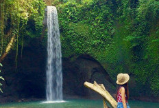 7 Ragam Wisata Air Terjun Indah di Kabupaten Bangli, Tawarkan Nuansa Alam Paling Seru dan Berbeda