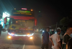 Bus Sumber Rahayu Terlibat Insiden dengan Sepeda Motor di Balecatur, Pengendara Terluka