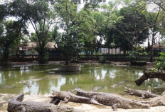 Rekomendasi Tempat Wisata di Bekasi Hits ini Destinasi Instagramable untuk Liburan Keluarga