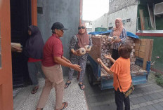 Dari Dapur ke Pasar, Ibu-Ibu KWT Pringwulung Kembangkan Bisnis Jamur