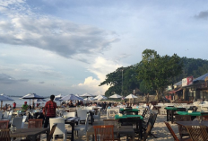 Eksplorasi Tempat Makan Seafood Terbaik di Bali Dari Jimbaran Hingga Hidden Gems 