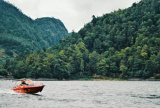 Healing Sempurna Tempat Wisata Seru di Brebes Berudara Sejuk dan Asri yang Menenangkan Pikiran