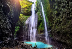 Paket Lengkap Sudah Termasuk Trekking dan Body Rafting Seru di Curug Naga