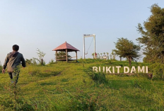Destinasi Terbaik Menikmati Senja yang Menenangkan di Jawa Timur Lewat Wisata Bukit Dami Probolinggo
