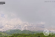 Gunung Merapi Luncurkan Awan Panas Guguran Rabu Siang, Warga Diminta Jauhi Alur Sungai