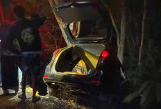 Minibus Hantam Pembatas Jembatan lalu Masuk Jurang di Dlingo, Tiga Penumpang Terluka