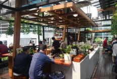 Berburu Kuliner Lezat di Sekitar Stasiun Istora Mandiri dengan Pilihan Menu Menggugah Selera 