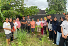 Dukung Lingkungan Hijau, KKNM UNY Bagikan dan Tanam Bibit di Desa Balecatur