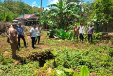 Fenomena Sinkhole Muncul di Gunungkidul, Ahli Geologi Ungkap Penyebab dan Tanda-Tandanya