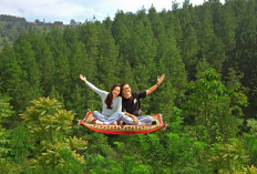 Rekomendasi 4 Destinasi Paling Populer untuk Konten Media Sosial di Bandung, Simak Ulasan Selengkapnya Disini