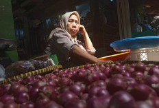 Hampir Sebulan Usai Iduladha, Harga Bawang di Sleman Masih Bertahan Tinggi
