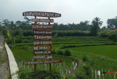 Ekowisata Pancoh, Potensi Wisata Edukasi Desa yang Tumbuh Bersama Kebersamaan Masyarakat