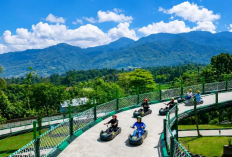 Budget Liburan Seru di Puncak di Go Luge, Cek Syarat dan Cara Reservasi Terbarunya