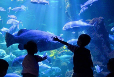 Rekomendasi Terbaik Menjelajahi Pesona Jakarta yang Gak Ada Habisnya, Cek Info Selengkapnya Berikut Ini