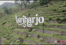 Sri Keminut, Pesona Wisata Alam Sriharjo Bantul untuk Liburan Sekaligus Belajar