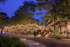 Kilau Magis Natal Dari Instalasi Pohon Terindah Jakarta Tahun 2025, Simak Ulasan Lengkapnya Disini