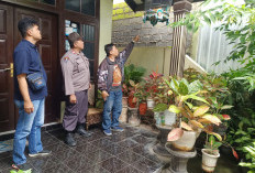 Digantung di Teras Rumah, Burung Murai Batu Rp150 Juta Digasak Maling di Bantul