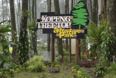 Menenangkan Hati, Jelajahi Permata Tersembunyi di Lereng Merbabu Salatiga Simak Ulasan Lengkapnya Disini