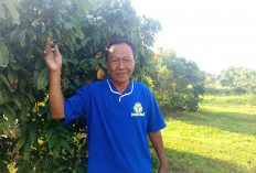 Filosofi Empat 'Guru' dari Petani Seyegan untuk Masa Depan Pertanian Indonesia