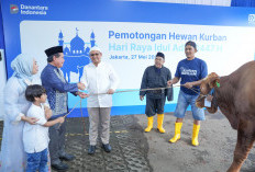 Semangat Berbagi Meriahkan Idul Adha, BRI Group Bagikan 5000 Lebih Hewan Kurban Berbagai Daerah Indonesia