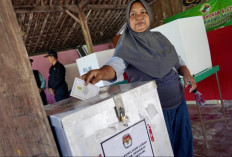Partisipasi Pemilih Capai 85 Persen, Sejumlah Petahana Tumbang dalam Pilur Bantul