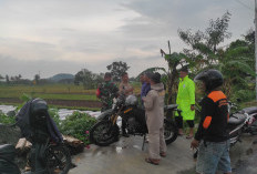 Petir Sambar Gubuk Sawah di Seyegan Sleman, Dua Buruh Tani Meninggal Dunia