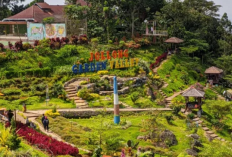 Rekomendasi Destinasi Wisata Unggulan di Bumi Mina Tani Pati, Cek Info Lengkapnya Berikut Ini