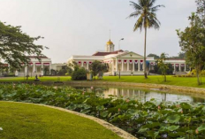 Jelajah Wisata Bogor Berikut Destinasi Populer yang Mudah Dijangkau dengan Biskita
