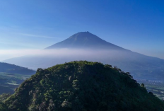 Wisata Wonosobo Terbaru, Menikmati Keindahan Gunung Lemah yang Cocok untuk Pendaki Pemula