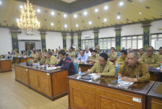 PAD Lampaui Target, Pemkot Yogyakarta Dorong APBD 2026 Lewat Money Follow Program