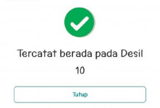Ramai Warga Kaget Masuk Desil 9-10, BPS Jelaskan Cara Penentuan DTSEN