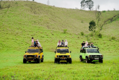 Menjelajahi The Highland Bondowoso Alam Kawah Wurung dan Keajaiban Megalitikum Batu So’on
