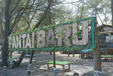 Tarif Baru Retribusi Pantai Bantul Resmi Berlaku, Warga Optimistis Wisata Pantai Barat Bakal Makin Ramai