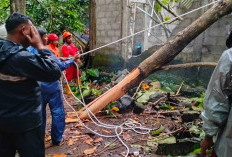 BPBD DIY Ingatkan Waspada Cuaca Ekstrem, Gunungkidul Jadi Wilayah Paling Terdampak
