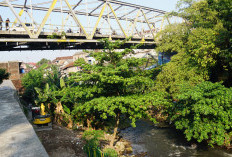  Sungai Code Akhirnya Dinormalisasi, Sedimentasi Dibersihkan dengan Alat Berat