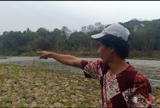 Warga Cawan Tolak Tambang Pasir dan Batu Kali Ilegal, Khawatir Abrasi Sungai Progo Makin Meluas