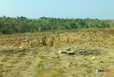 Yogyakarta Dilanda Panas Terik, Warga yang Beraktivitas di Luar Ruangan Diminta Waspadai Dehidrasi