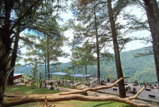 Menikmati Liburan Keluarga Yuk Jelajahi Pesona Tersembunyi di Kudus, Simak Informasi Selengkapnya Disini