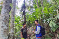 Mantri BRI Terobos Kabut dan Jalan Terjal, Jaga Asa Pelaku Usaha Cianjur Selatan