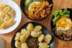 Menjelajah Kafe Nyaman Cozy Dekat Solo Safari untuk Nongkrong dan Melepas Penat 