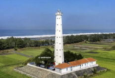 Destinasi Pesisir Keajaiban Pantai Selatan Purworejo Paling Memukau untuk Libur Lebaran 2026