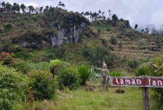 ‎Keindahan Negeri Padang Rumput di Perbatasan Banjarnegara 