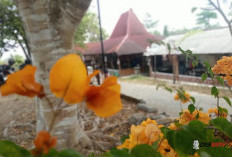 Ekoteologi Dalam Cerita Rakyat, Menggali Kearifan Lokal untuk Menjaga Alam 