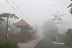 Monsoon Australia Menguat, Suhu Dingin Melanda DIY hingga Puncak Agustus